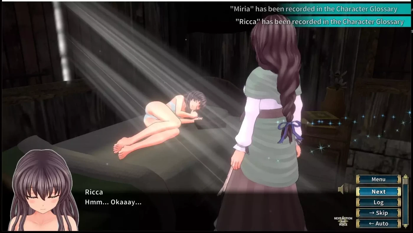 图片[2]-x408圣骑士莉卡物语：白翼与银翼的姐妹！DL正式步兵版[年度3D/6.3G]-acg畅游网