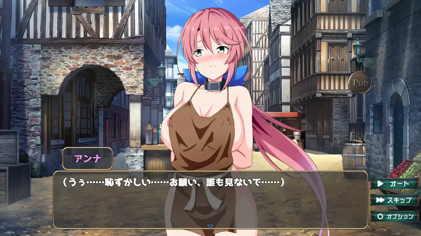 图片[3]-k171 骑士安娜 -奴隶教育记录- 挂载AI汉化版+全回想存档 [新作/494.5M]-acg畅游网