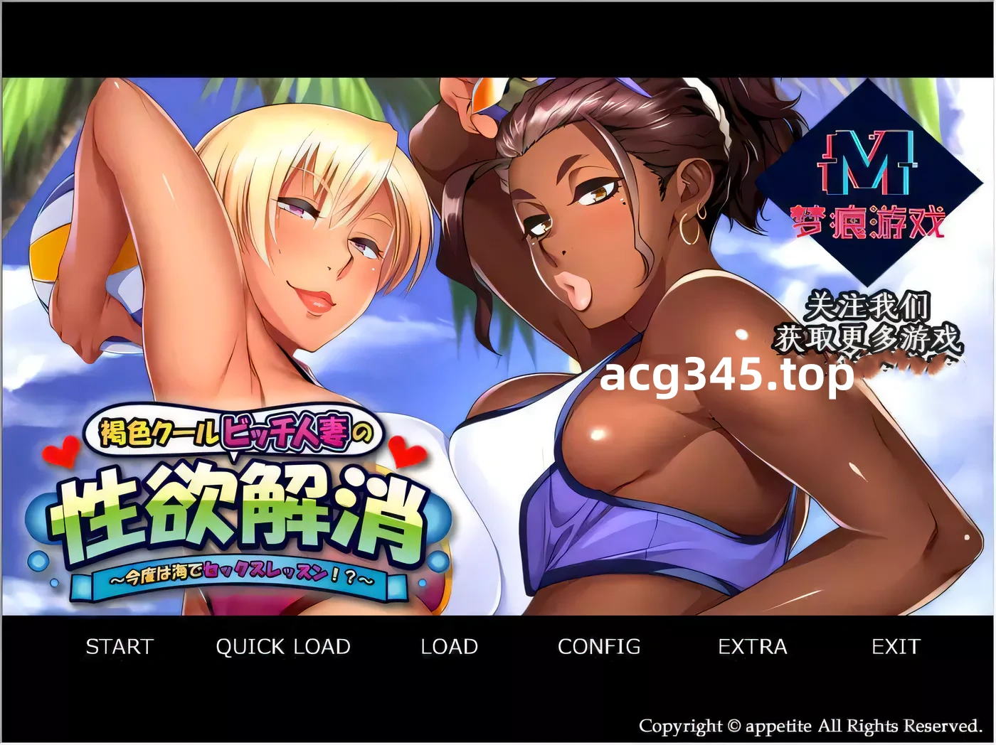 【拔作/汉化】褐色比基尼人妻杏欲消解！海边的X教育！云汉化版+CG+动画【PC+安卓/新汉化/2G】-acg畅游网