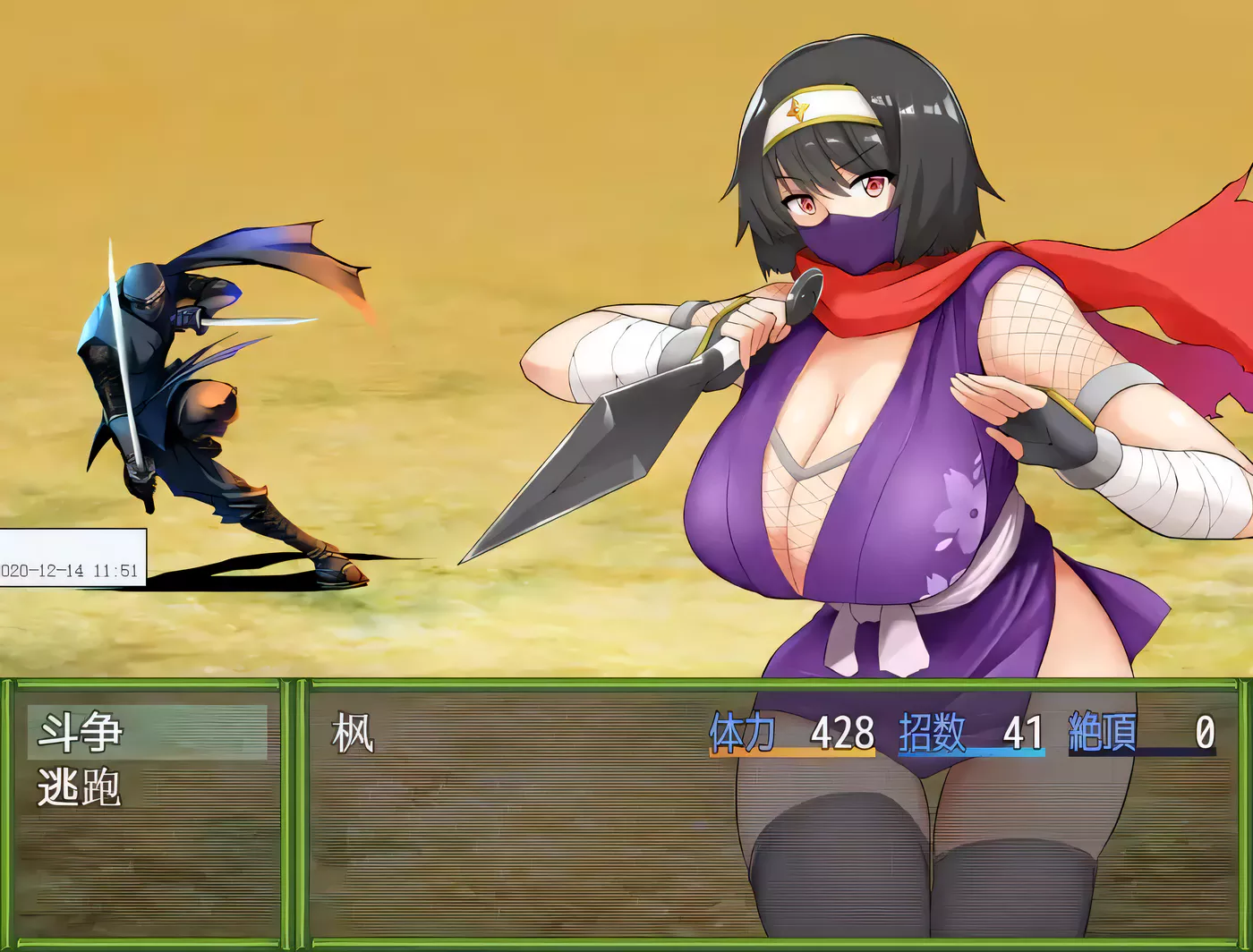 图片[3]-【RPG/中文】女忍者-枫 DL官方中文版+存档[スタジオねこキック]【800M/全CV】-acg畅游网