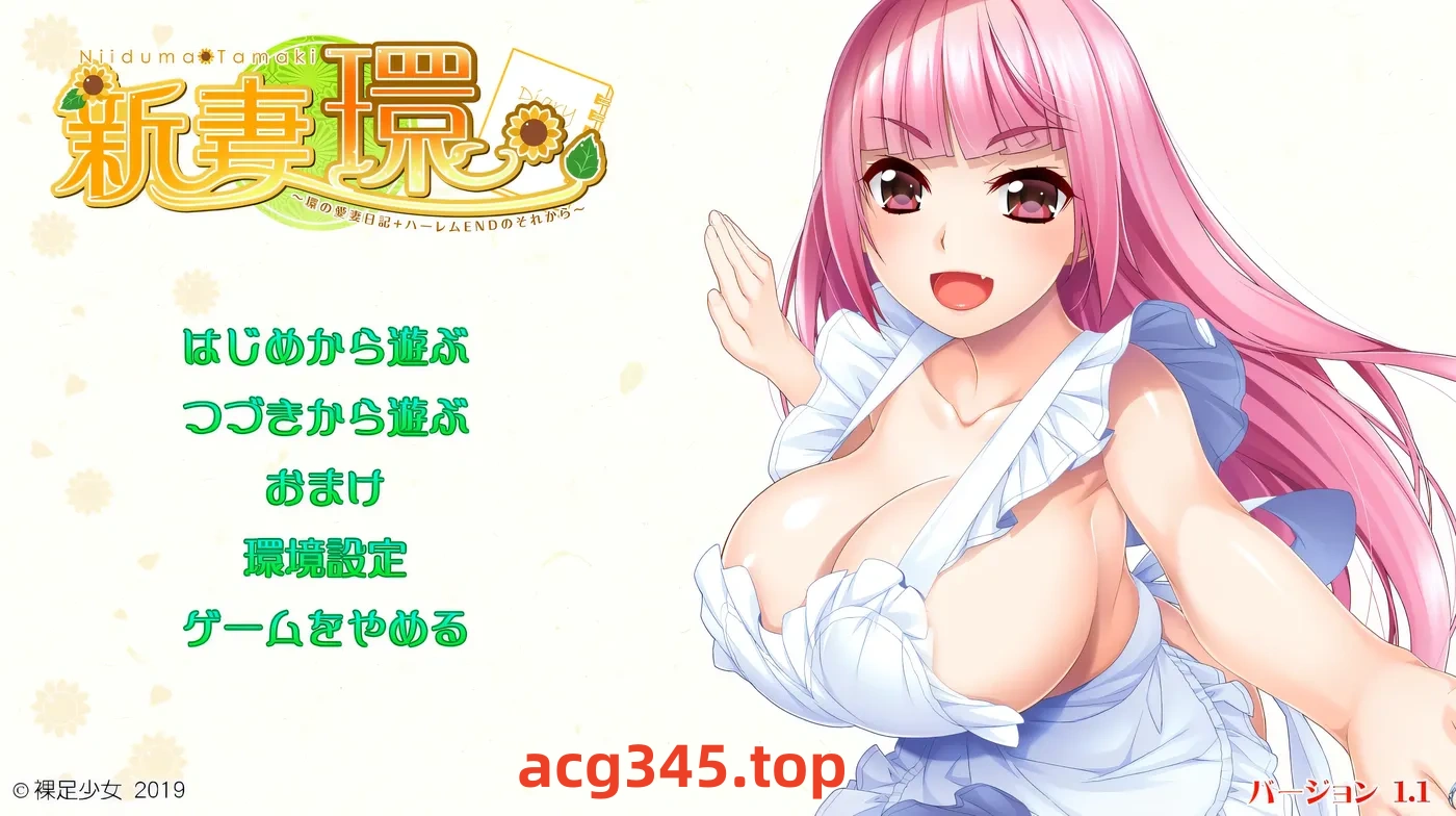 w531  新妻环 环的爱妻日记 + 后来的后宫结局Ver1.1 AI汉化版+全CG存档 [新作/2.2G]-acg畅游网