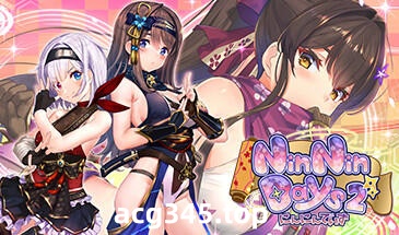 w2216 NinNinDays2  V1.0  Steam 官方中文-acg畅游网