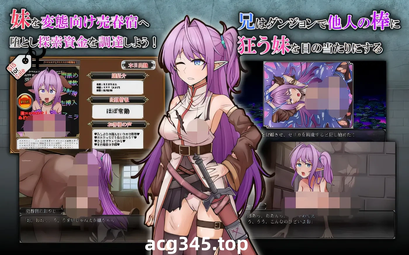 w1928 涅托拉雷发情精灵妹妹剑士赛莉卡 云翻汉化版 [新作/741.9M]-acg畅游网