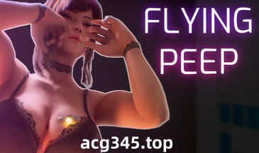 w2353 飞行偷看 Flying Peep  Steam 官方中文-acg畅游网
