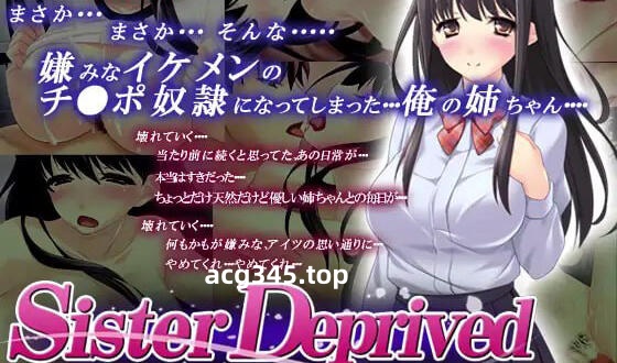 w2070 被剥夺的姐姐/Sister Deprived AI汉化  全CG存档-acg畅游网