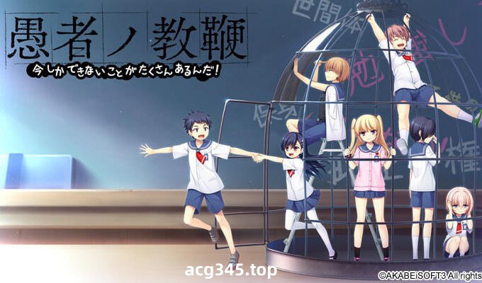 w2096 愚者的教鞭  AI汉化 全CG存档-acg畅游网