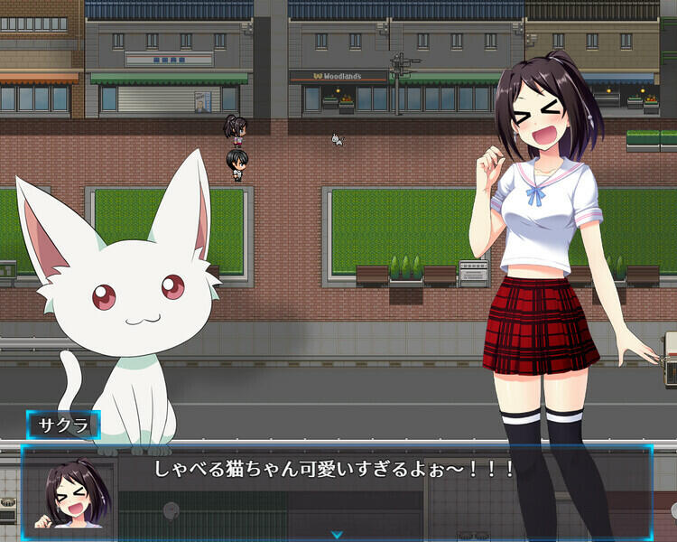 图片[5]-w2175 光樱闪姫普利塞 +DLC  Steam官方中文-acg畅游网