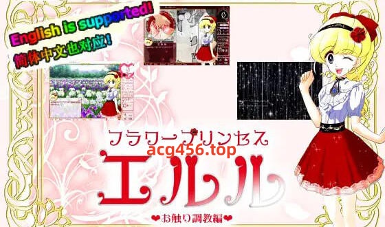 t2561芙拉瓦公主 艾露露 -痴汉车辆篇-V3.03 DL官方中文[新作/540M]-乐游二次元