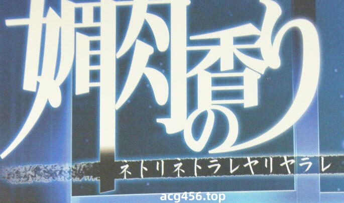 t2362 媚肉之香+番外 精翻汉化[2.5G]-乐游二次元