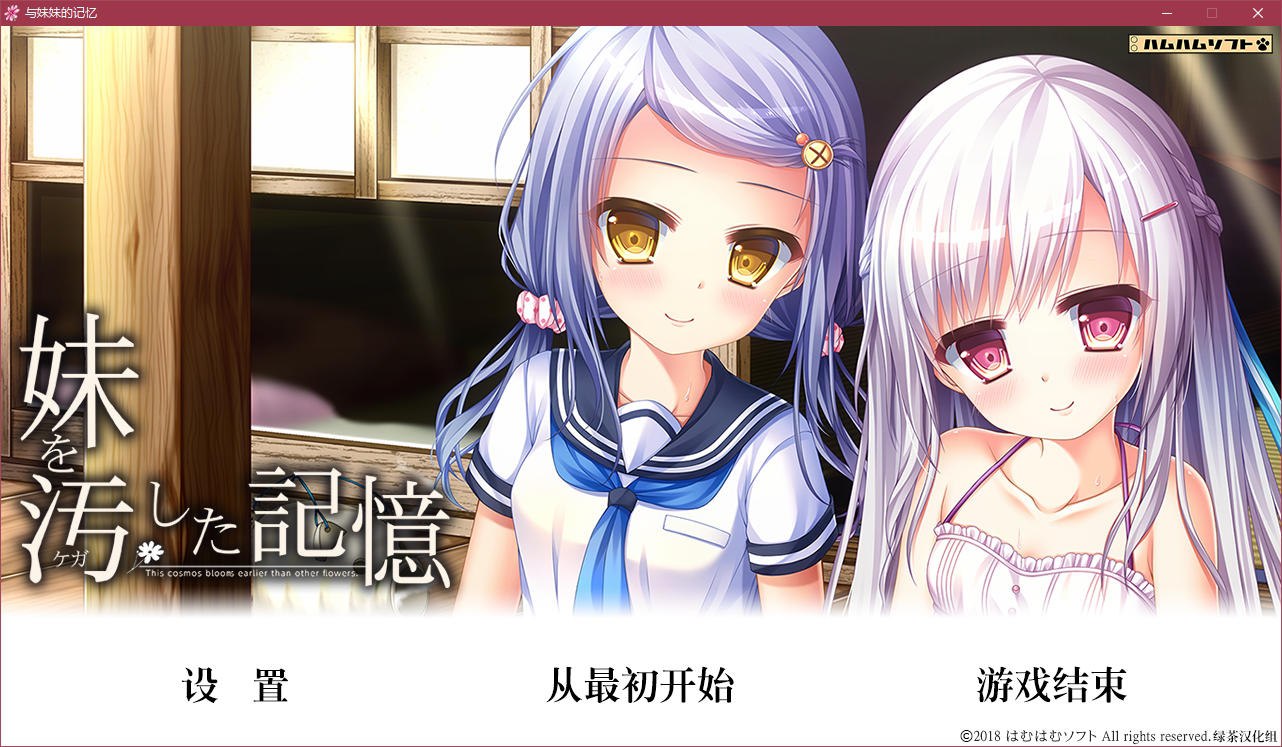 图片[2]-t5002 与妹妹的记忆 汉化版 [2G]-乐游二次元