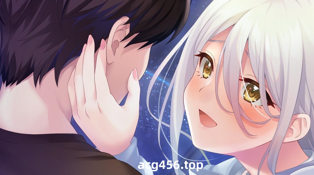 t2778 dROSEra ～淑女的坏结局初恋～V1.0 AI汉化[新作/4G]-乐游二次元