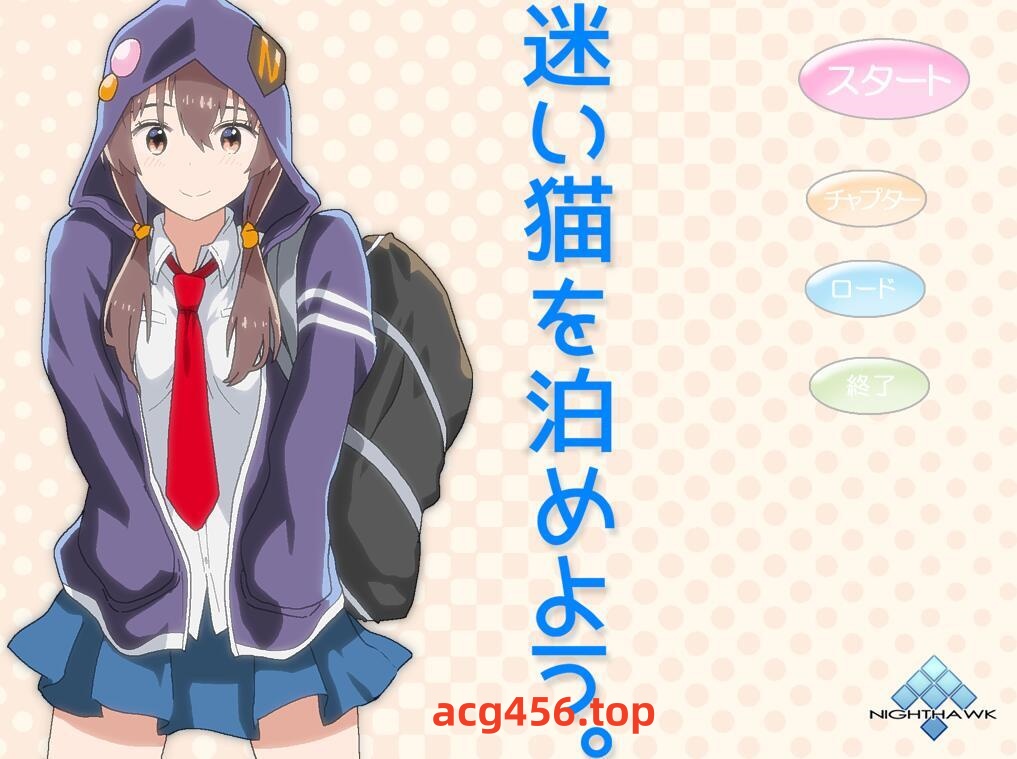 t2906 Nighthawk  7部合集 全动态 汉化版[更新/3.1G]-乐游二次元