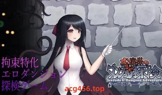 t2870千金小姐的地下城大冒险 V1.09.1 DL官方中文 [新作/1.1G]-乐游二次元