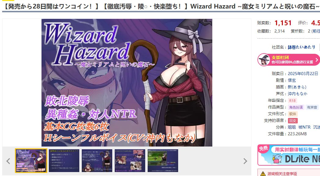图片[2]-t2230 Wizard Hazard ~魔女米里亚姆与诅咒魔石~V1.0 AI汉化[新作/980M]-乐游二次元