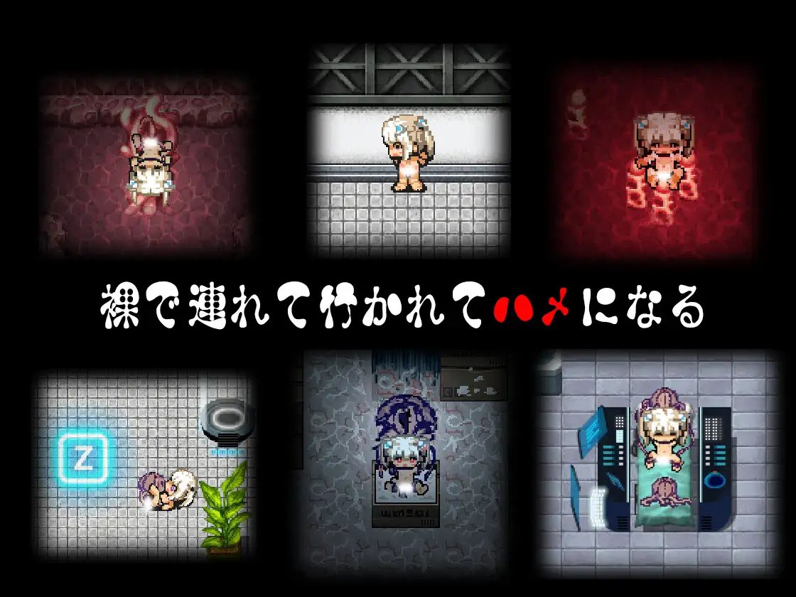 图片[4]-x15185斯特拉的漂流日记 V1.0正式版 AI汉化[新作/1.2G]-acg畅游网