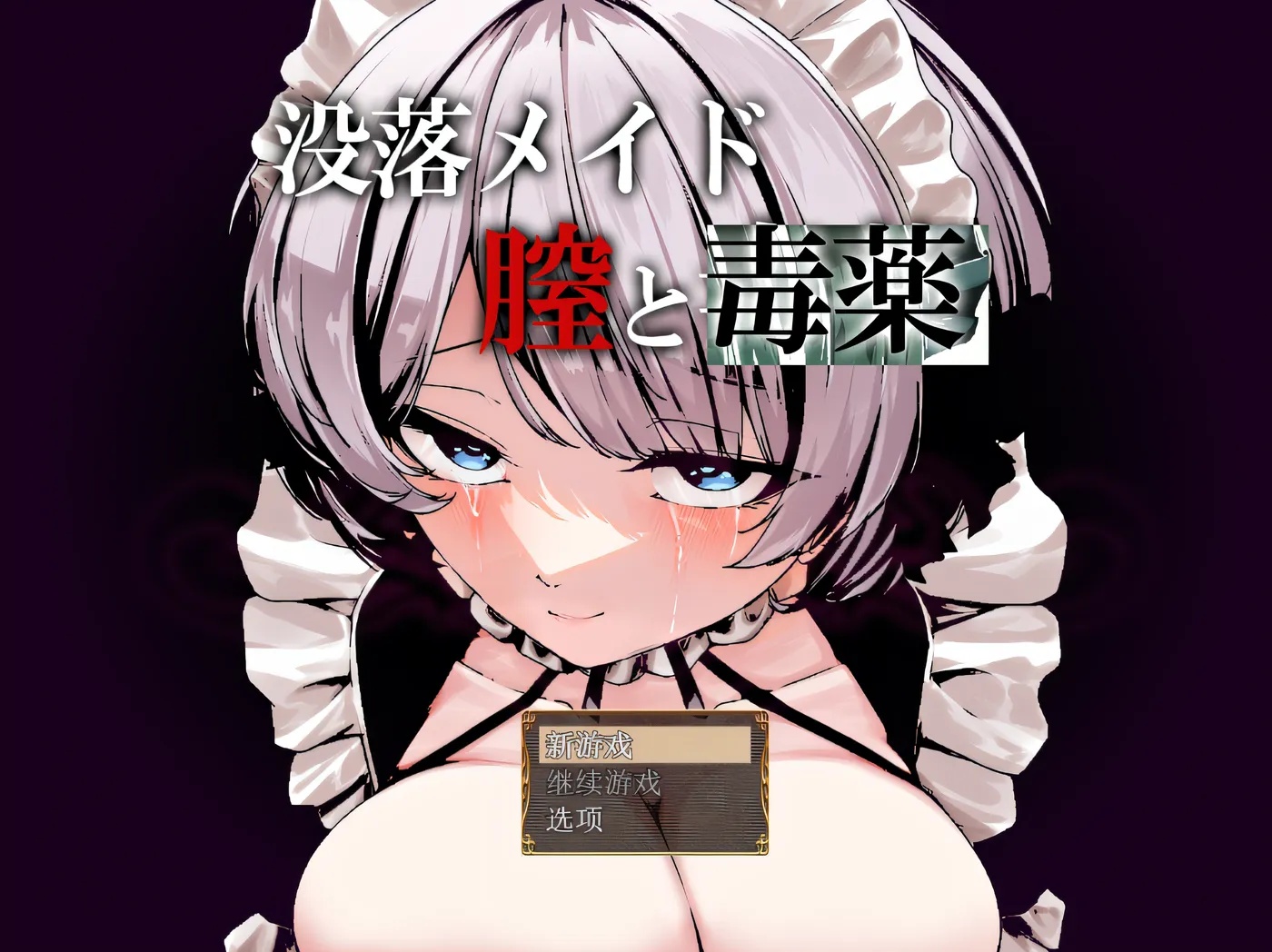 x50324堕落的女仆：阴道与毒药 V1.0 云翻汉化版 [新作/1.6G]-acg畅游网